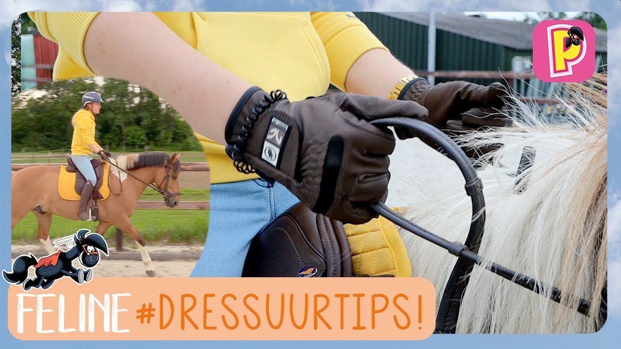 Tips voor dressuur rijden! | Feline | PennyTV