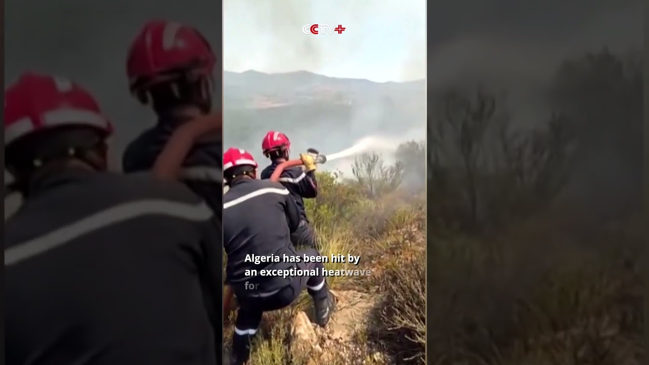 Heatwave Fuels 1,000 Fires in Algeria, 19,000 Civil Protection Personnel Mobilized