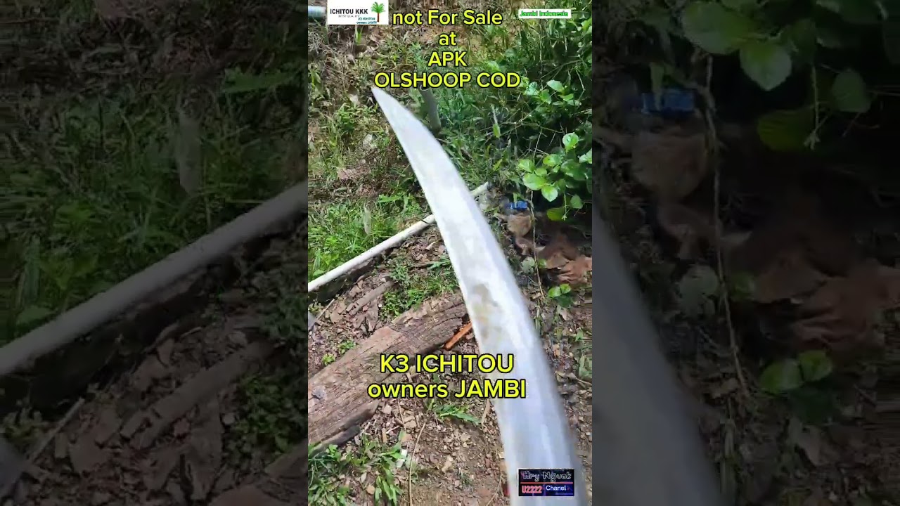 SABIT K3 ICHITOU ORIGINAL HARDNES STEEL Jambi Indonesia #egreksupertajam #egreksawit