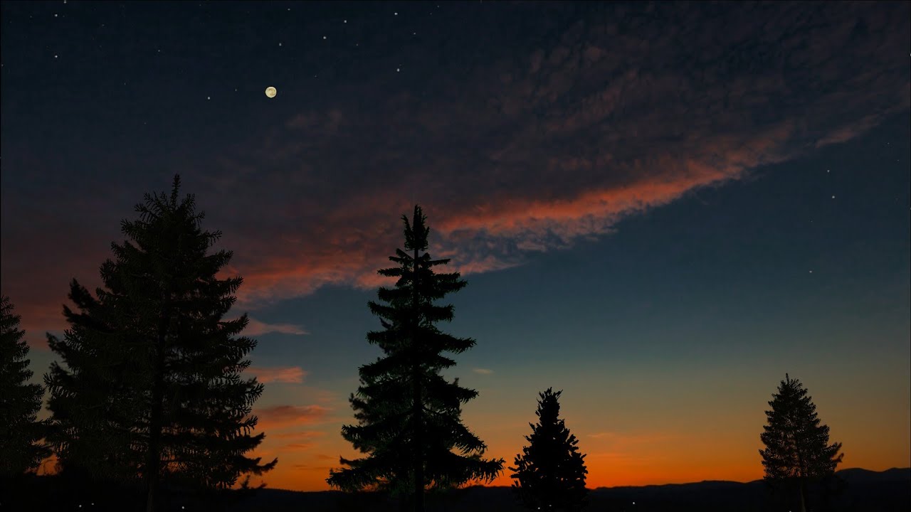 Twilight Forest Evening Vibes with Crickets 🌲 ASMR Ambience for Relaxation, Sleep and Study 🎧🦗