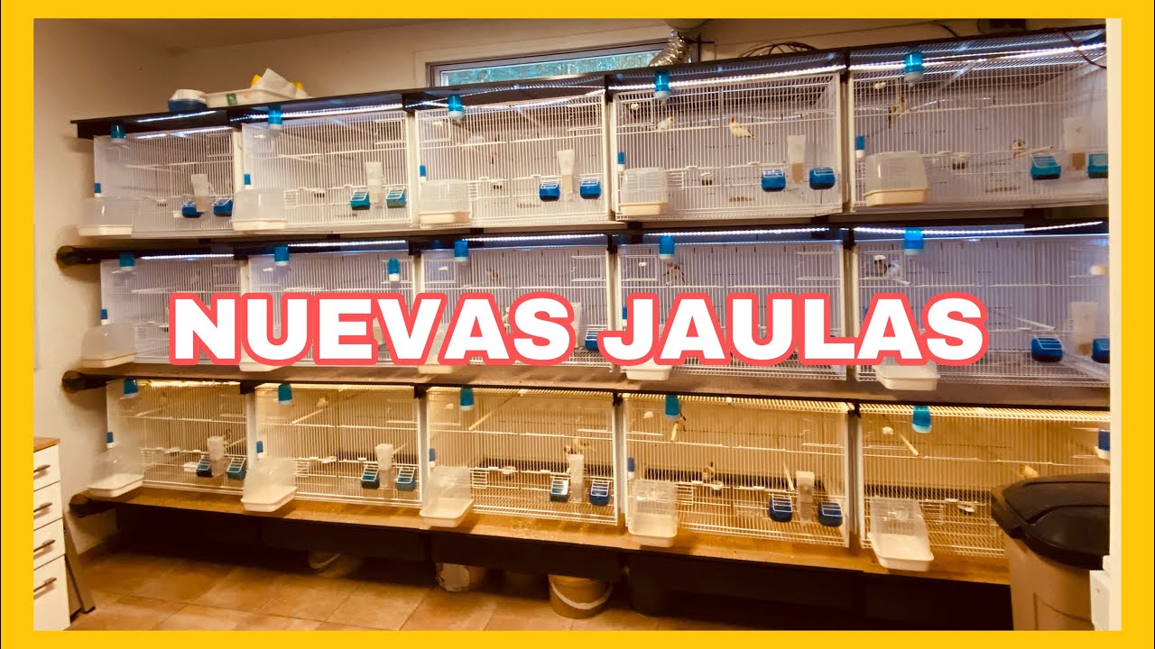 NUEVAS JAULAS | TERENZIANI | MODELO CILEA | MODELO VILVALDI | AVIARIO MASSOT