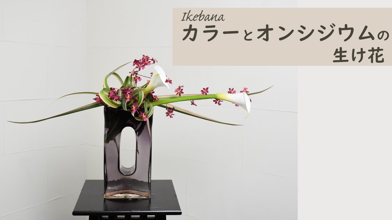 【カラーとオンシジュームの生け花】 初心者でもコツが分かればとっても簡単！ 生け方の基本からアレンジまでサクッと紹介。Japanese ikebana lesson for beginners