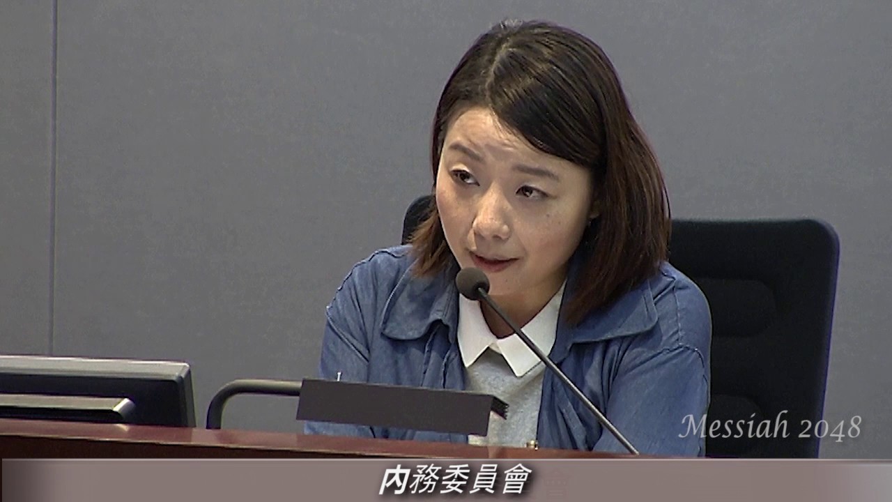 劉小麗：梁振英任內是否會為23條立法？