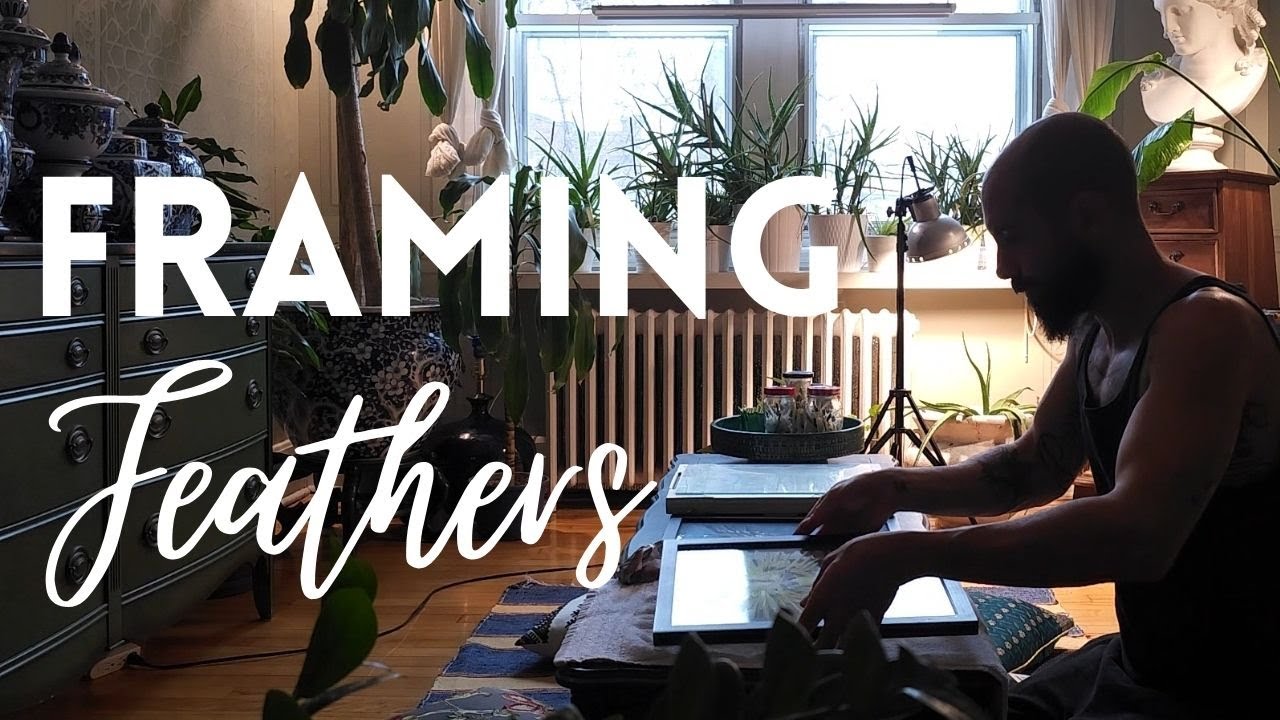Framing Feathers - I don't need glue...