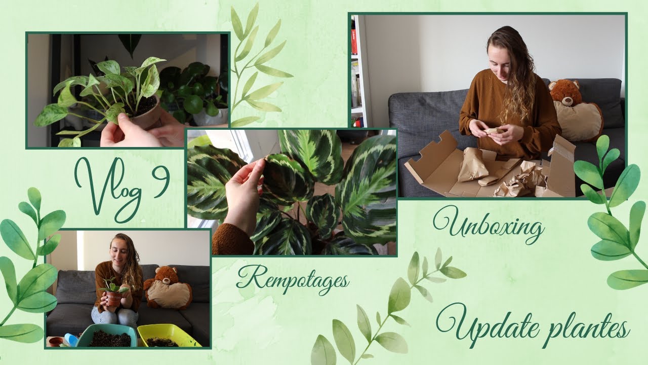 Unboxing, changement de nom et des nouvelles de mes plantes #Vlog 9