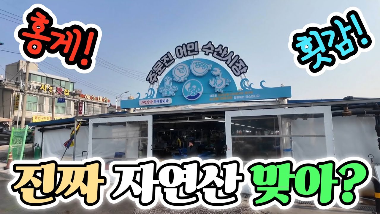주문진 어민 어시장 자연산 맞아? 홍게 제철 수산물 꽉찼다! 가성비 끝판왕! 최신 정보 긴급 공개! Korean fish market channel 