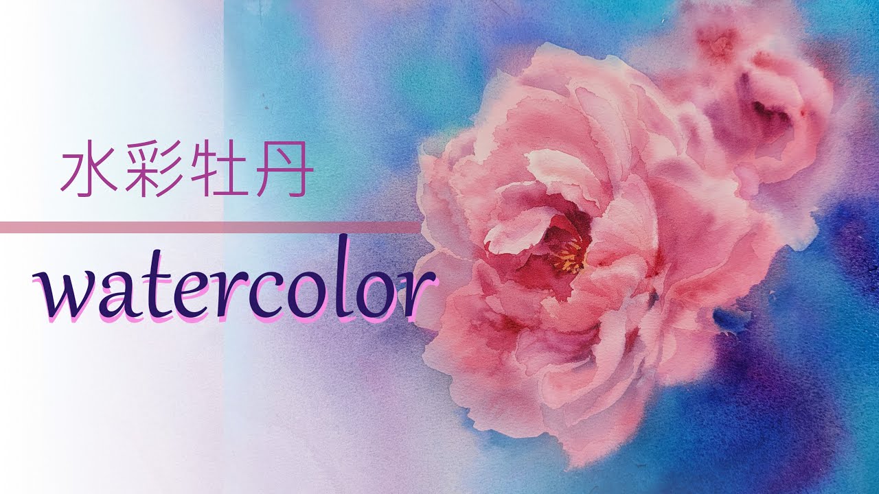 水彩牡丹how to paint peony  with watercolor