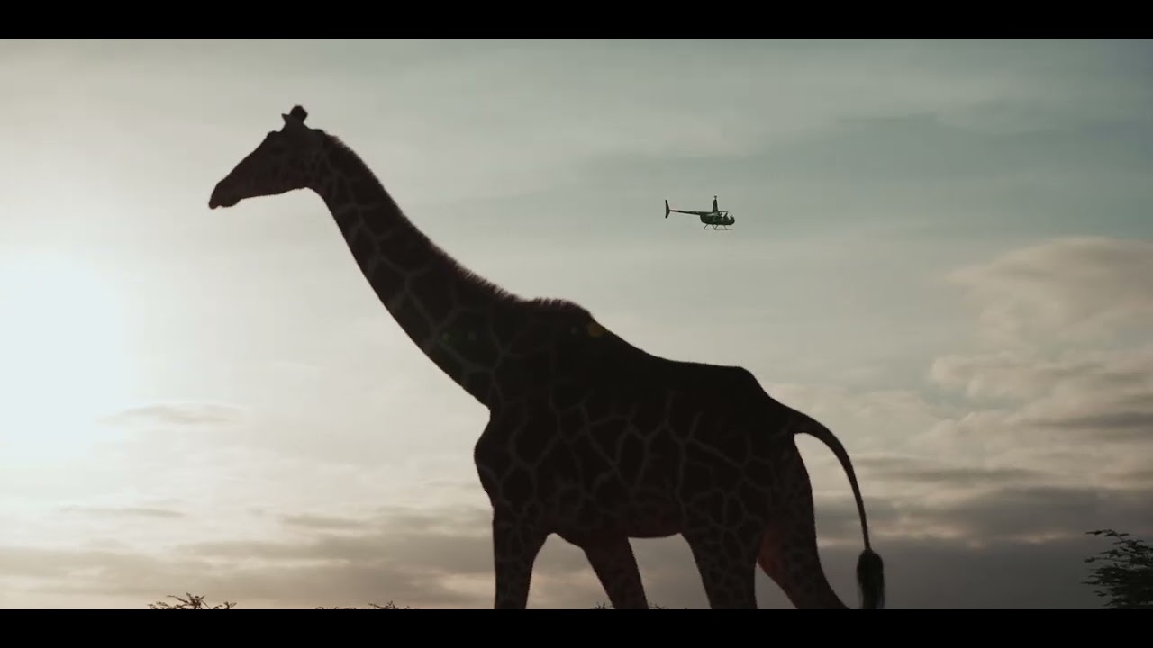 Hippo Lakes | Luxury Safari & Private Game Reserve