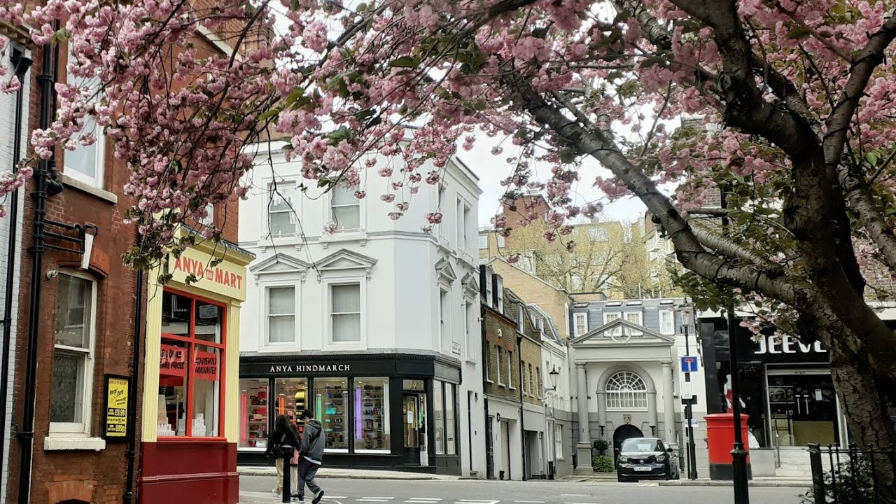 Hidden Mews Homes of Belgravia Cadogan Lane | London Architecture