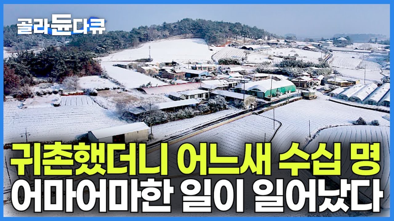 17명 나 따라서 귀촌하더니 어느새 ‘수십 명' 마을 하나를 접수했다!｜농사지으려고 귀촌했더니 어마어마한 일이 일어났다｜밥 먹으려면 20인 분 대가족 새해맞이｜한국기행｜#골라듄다큐