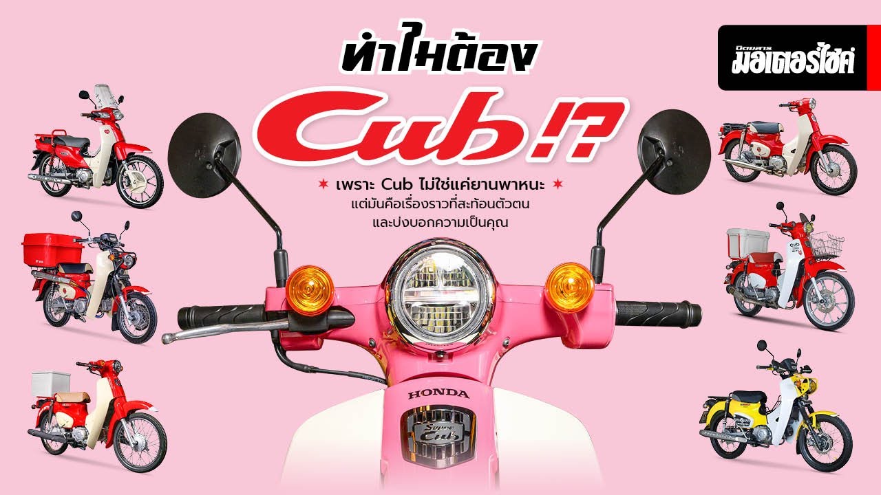 ทำไมต้อง Cub ?!?!?