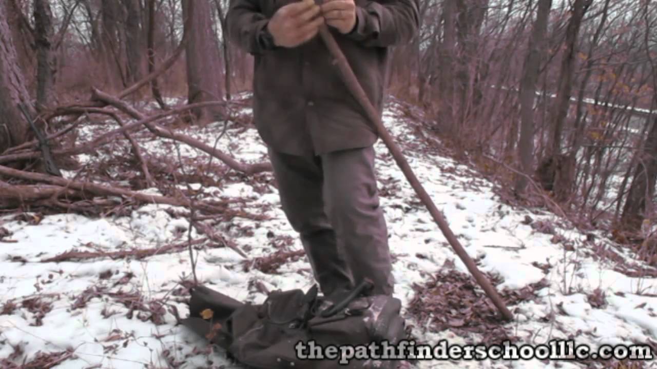 Pathfinder Bushmaster Spear Update