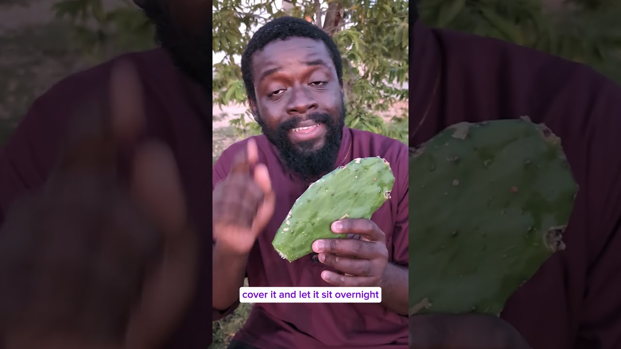 How to use Tuna Cactus the right way for backpain