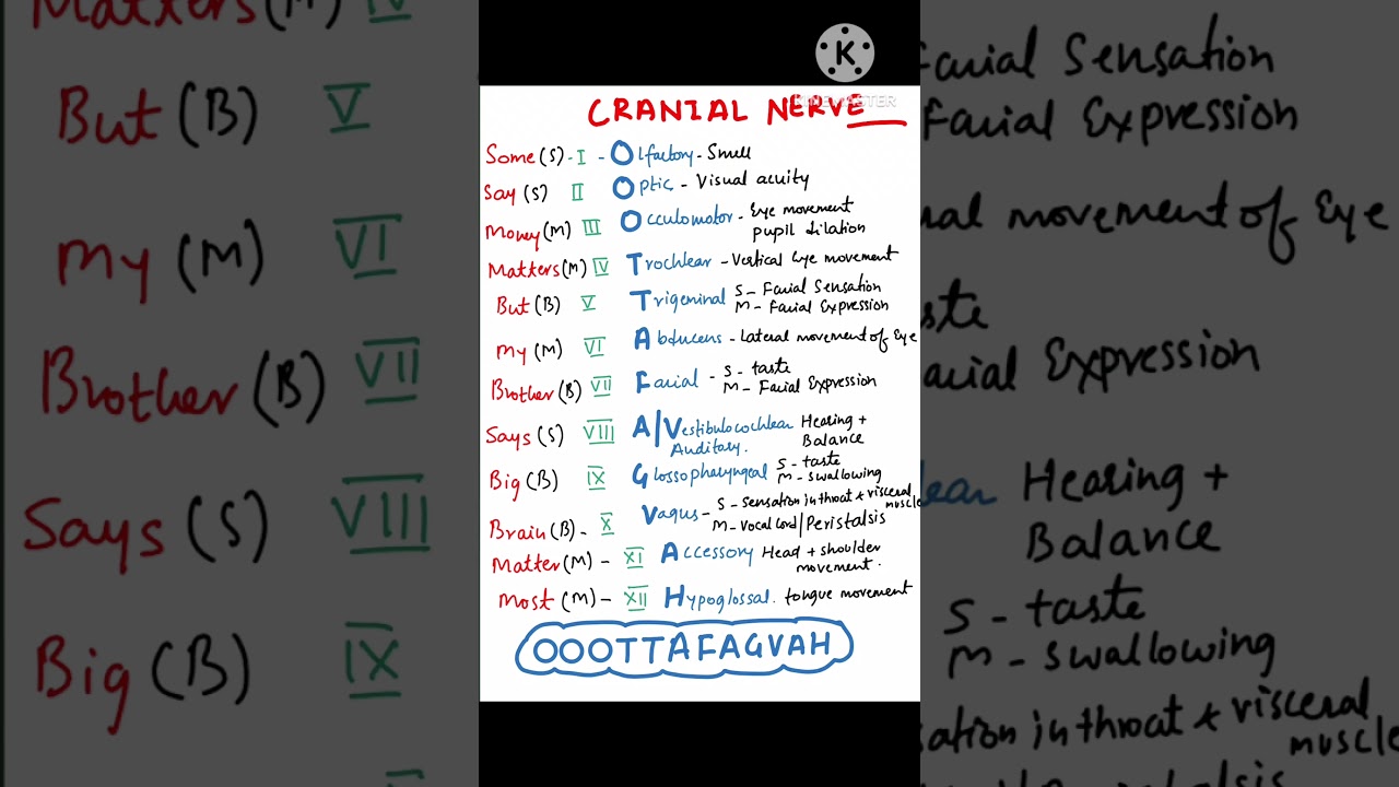 #mnemonic cranial nerve # medaid # educational video# short notes  # medical notes