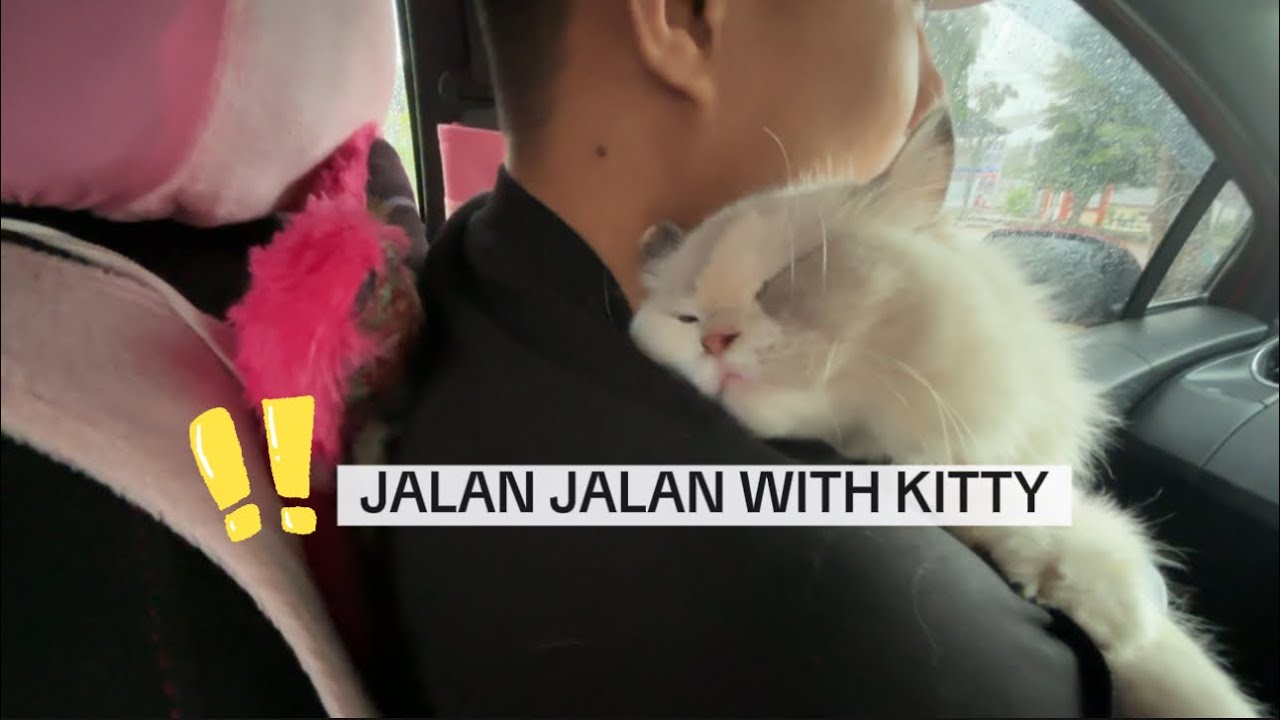 KITTY NYAMAN SM PELUKAN RAAEENN???! #raeylasvlog 