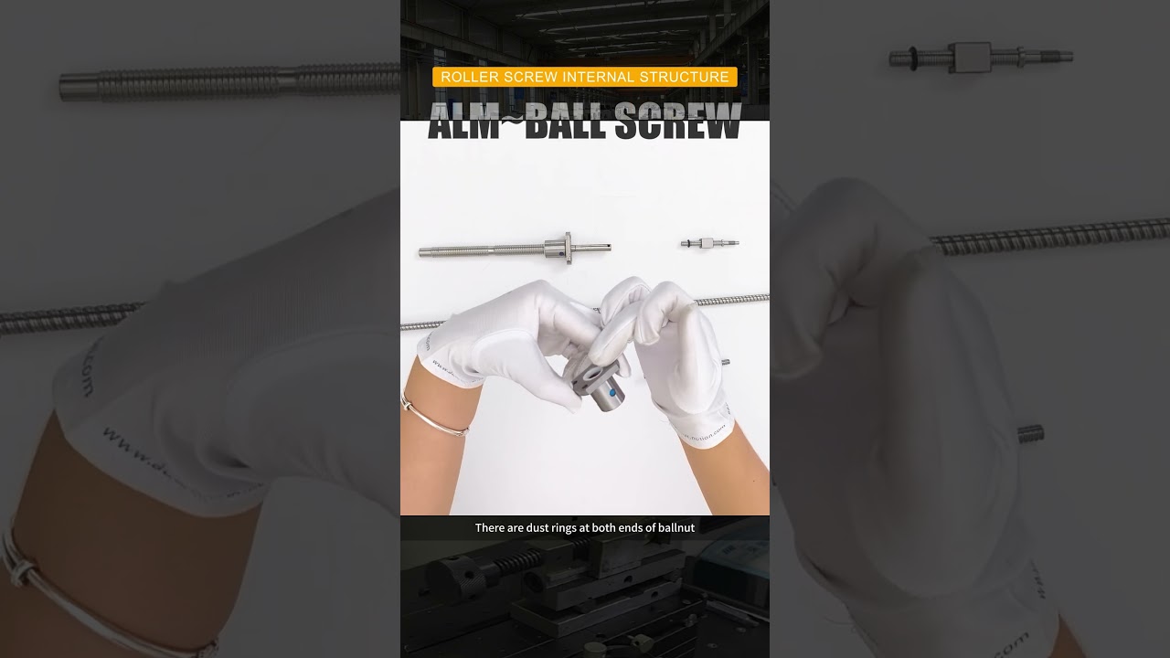 What's the structure of a ball screw nut?