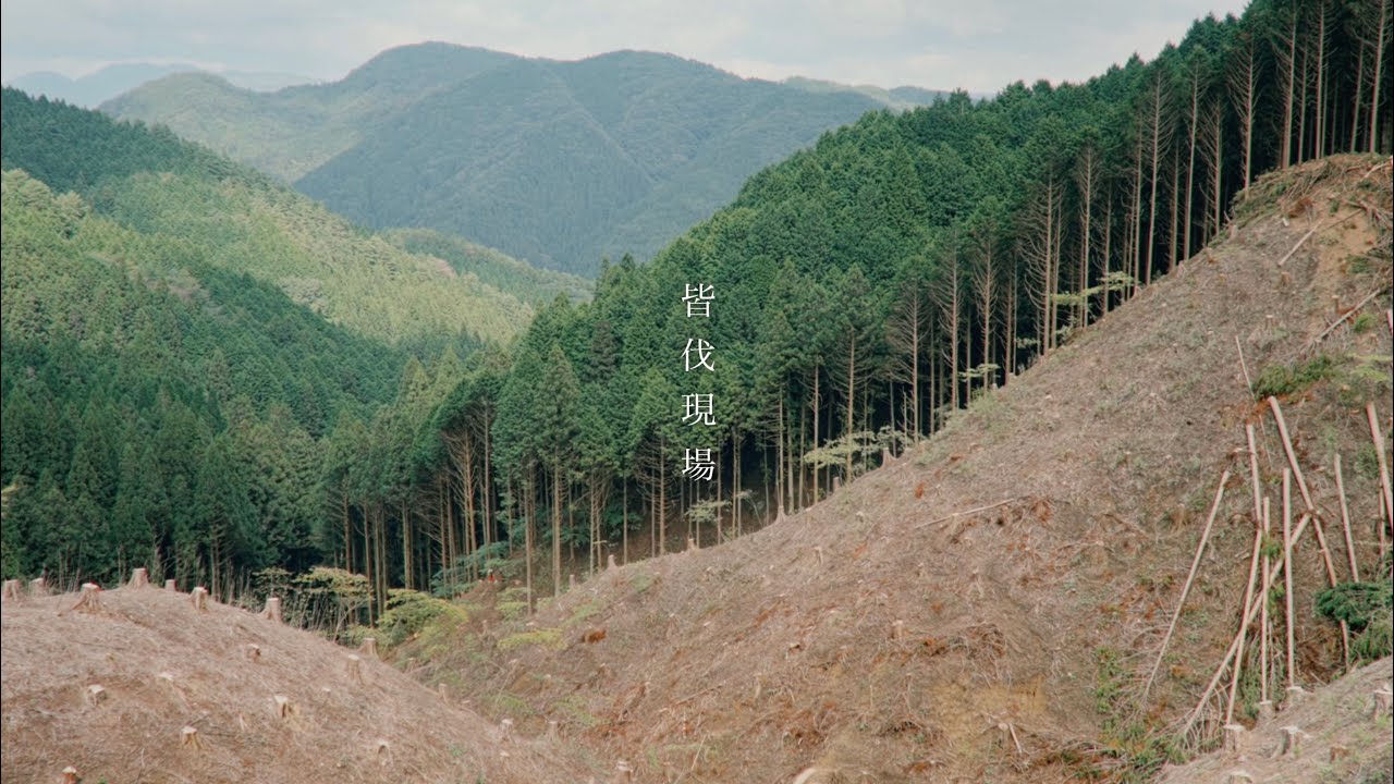 林業現場 皆伐 - 根羽村森林組合