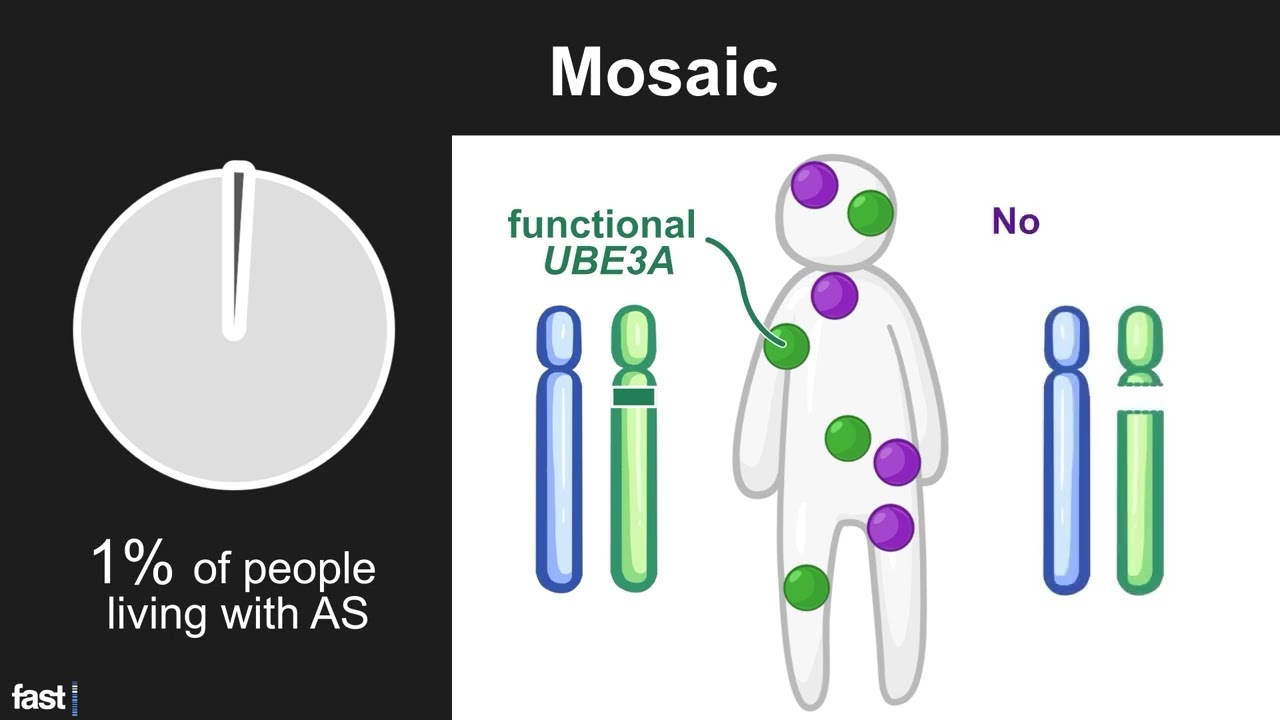 AS Genotype: Mosaic