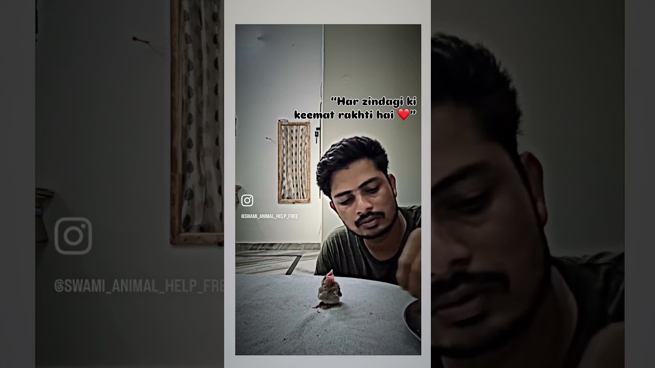 #birdrescue