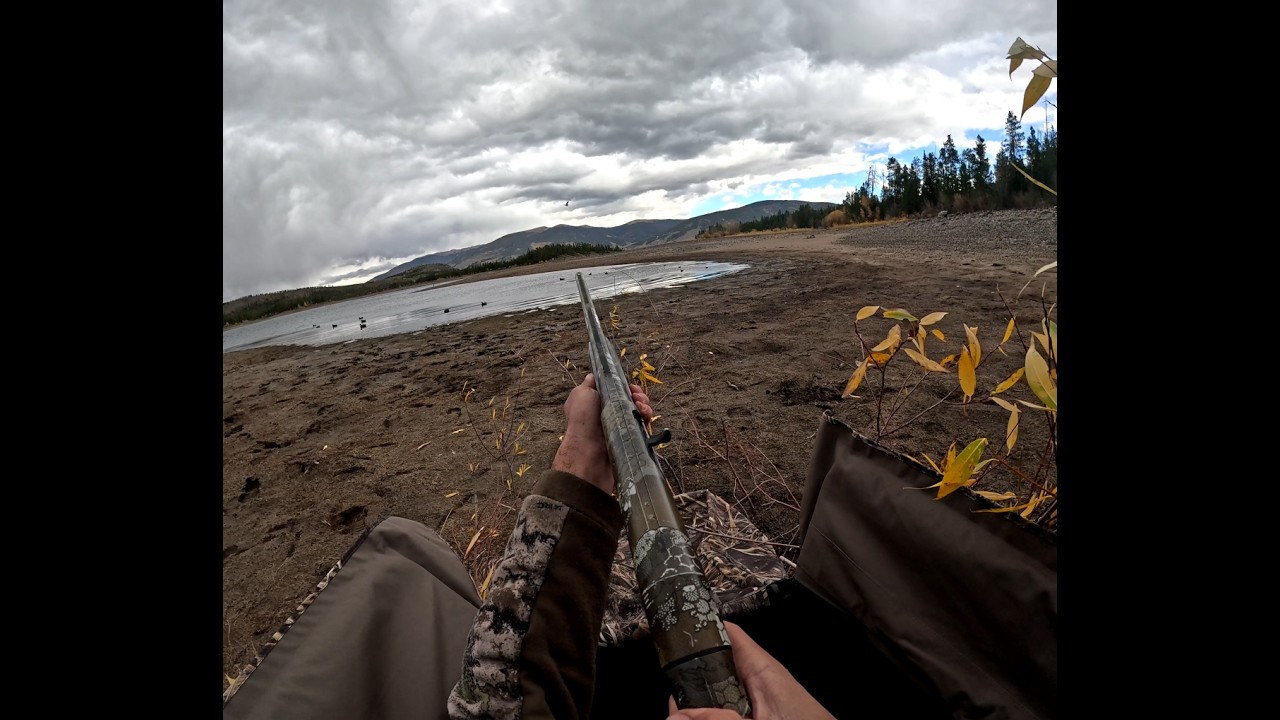 OPENING DAY Colorado Duck season 2025 | Solo Layout Blind HUNT