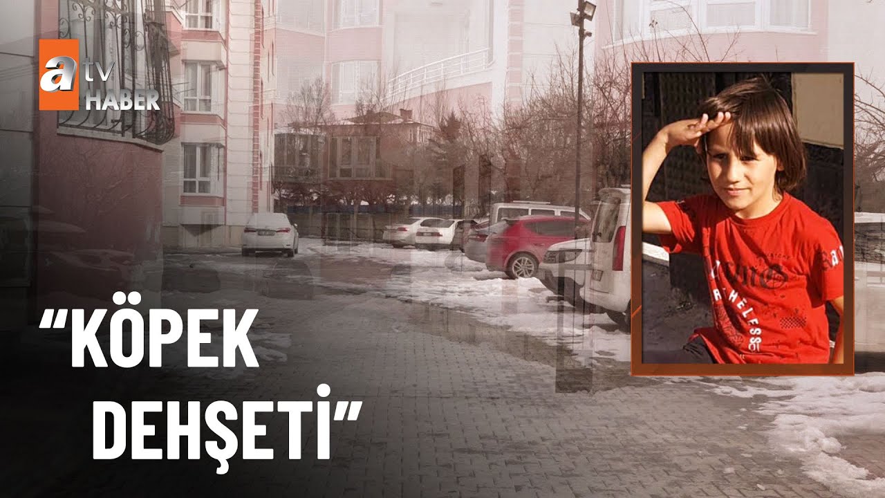 Küçük Mete başıboş köpek kurbanı - atv Ana Haber 31 Ocak 2023