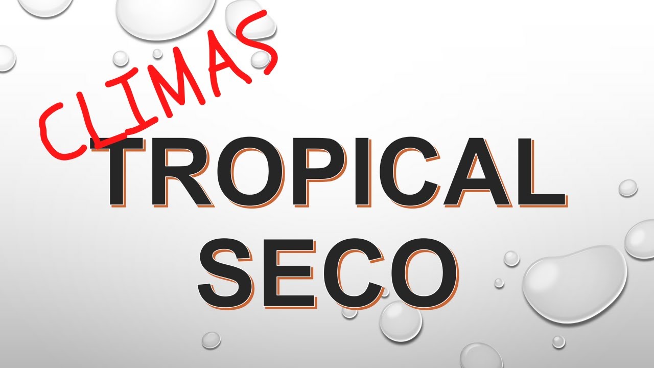 RESUMEN del Clima TROPICAL SECO en 1 minuto