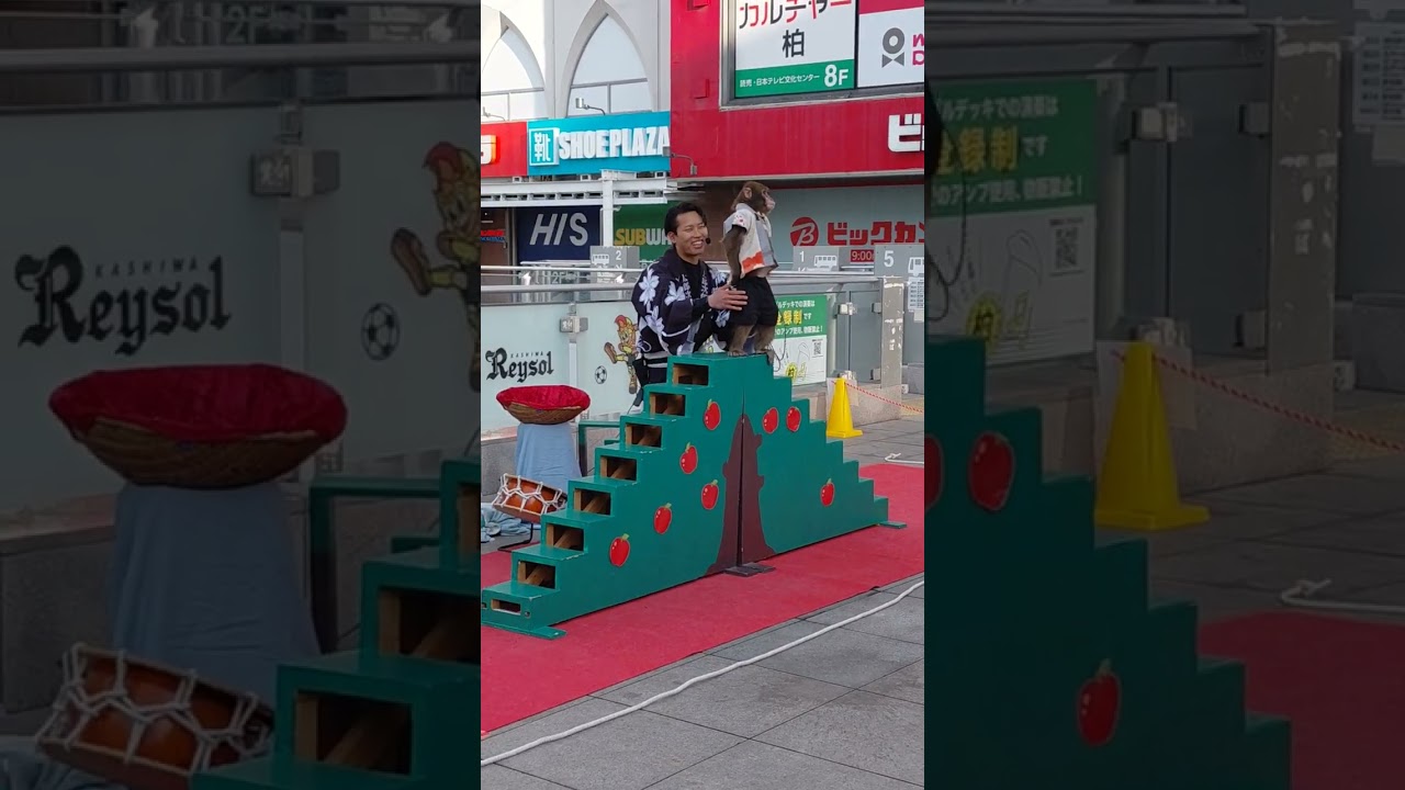 猿回し