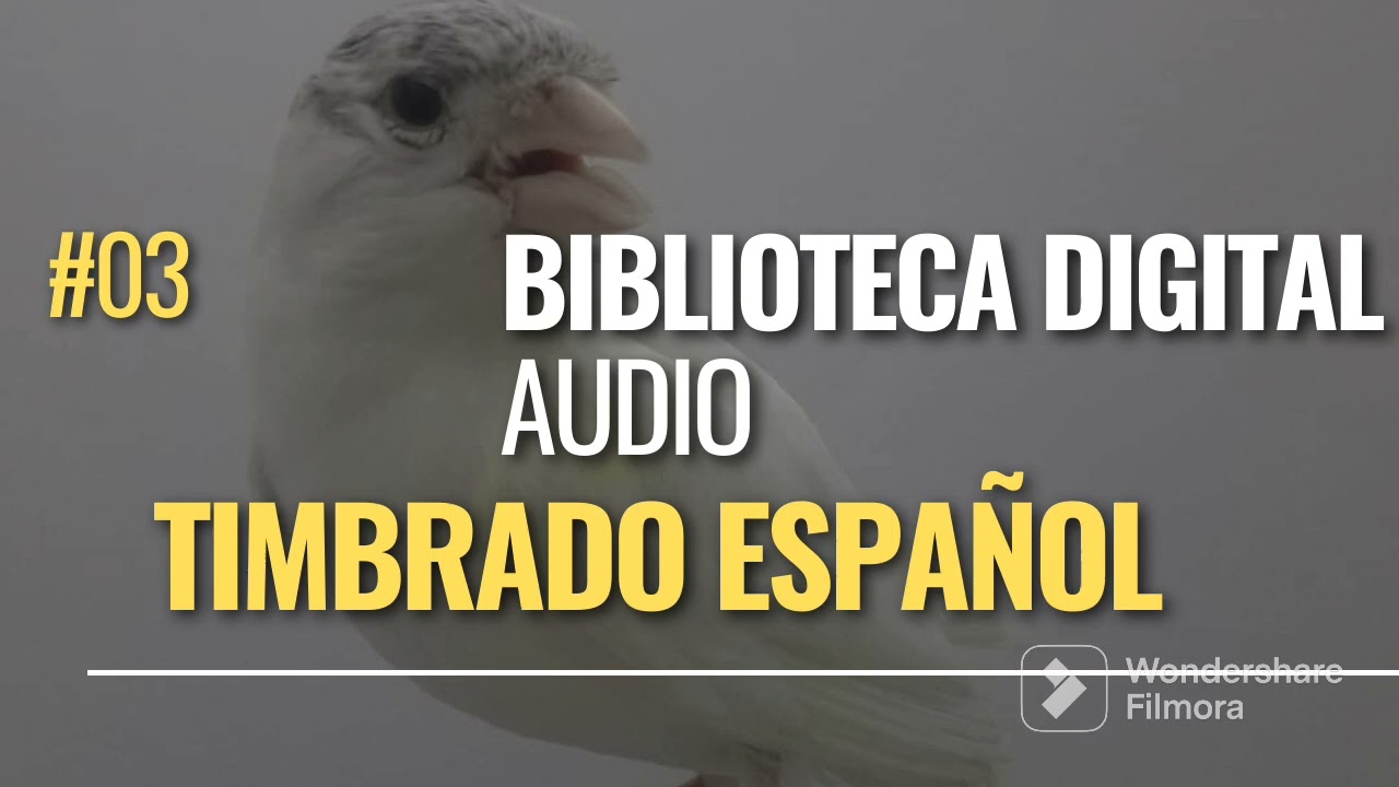 Audio #3/Biblioteca digital 🎬/Audio recopilatorio de notas Timbrado Español 🪶🐦💯🐣