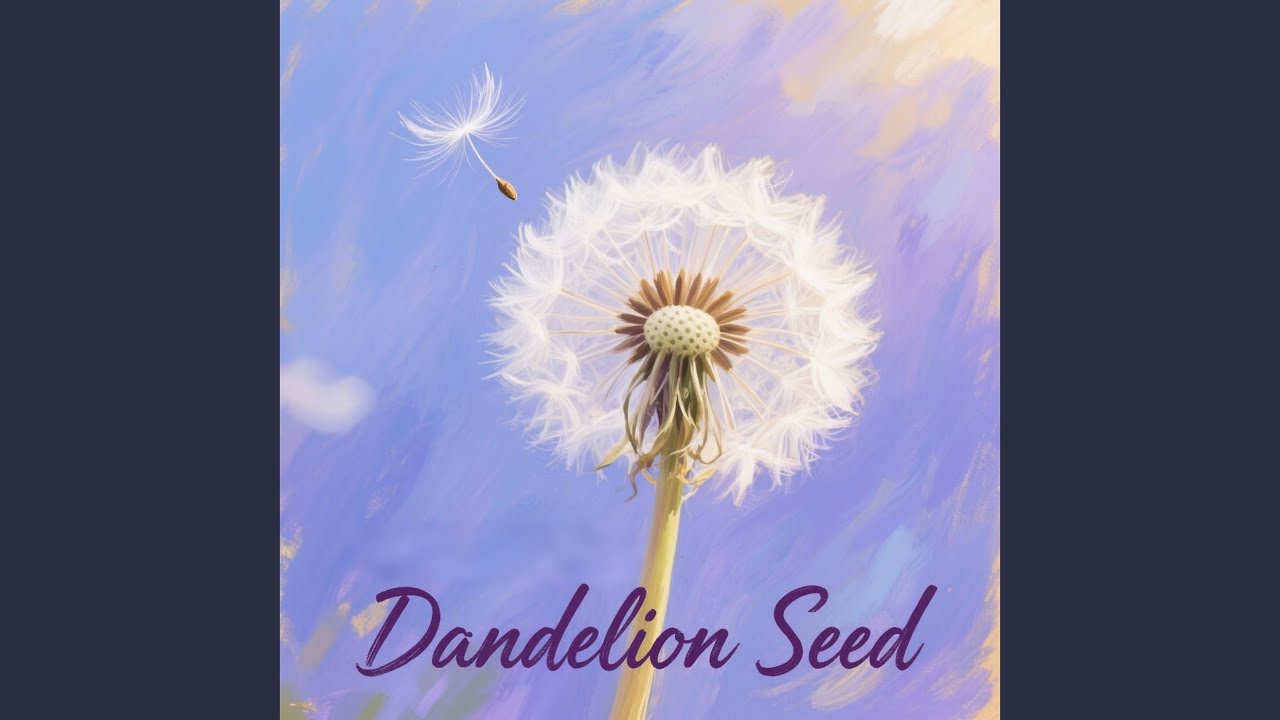 Dandelion Seed