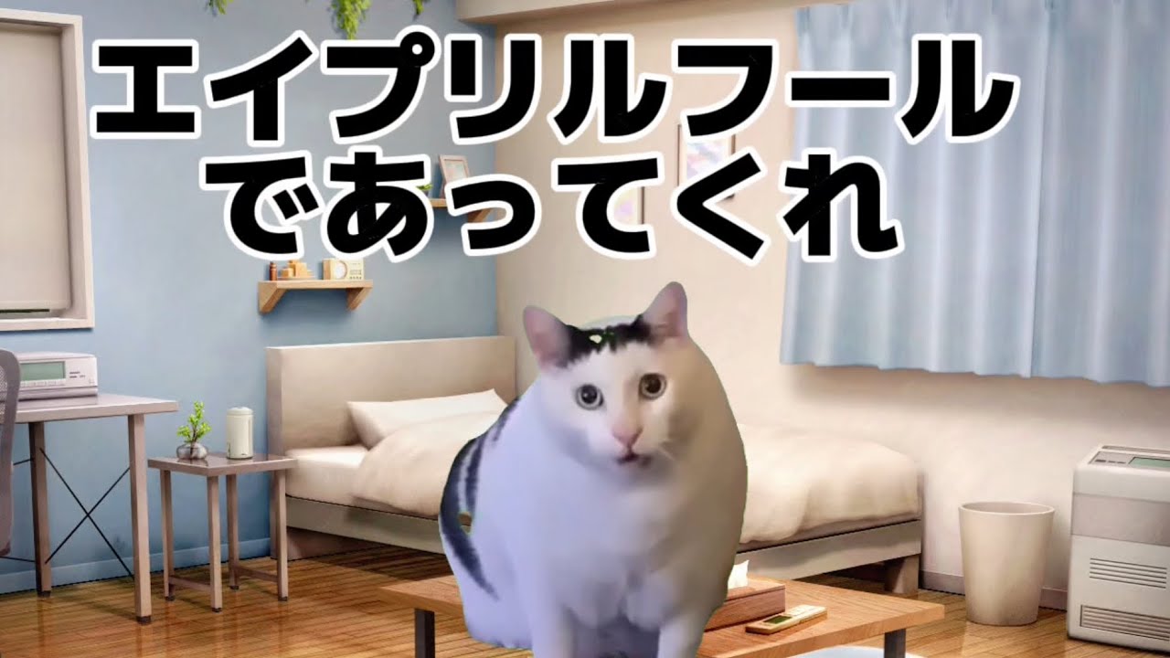【中日】 猫ミーム 後半怒涛の追い上げを見せるも結局追いつけず開幕5連敗となり絶望する中日ファン #猫ミーム #中日ドラゴンズ #中西聖輝 #岡林勇希 #サノー #福永裕基 