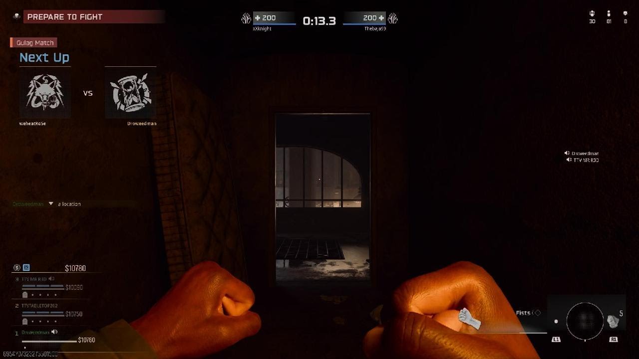 Crazy fight