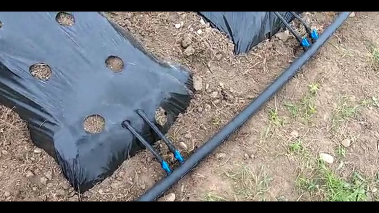 Монтаж капельной ленты