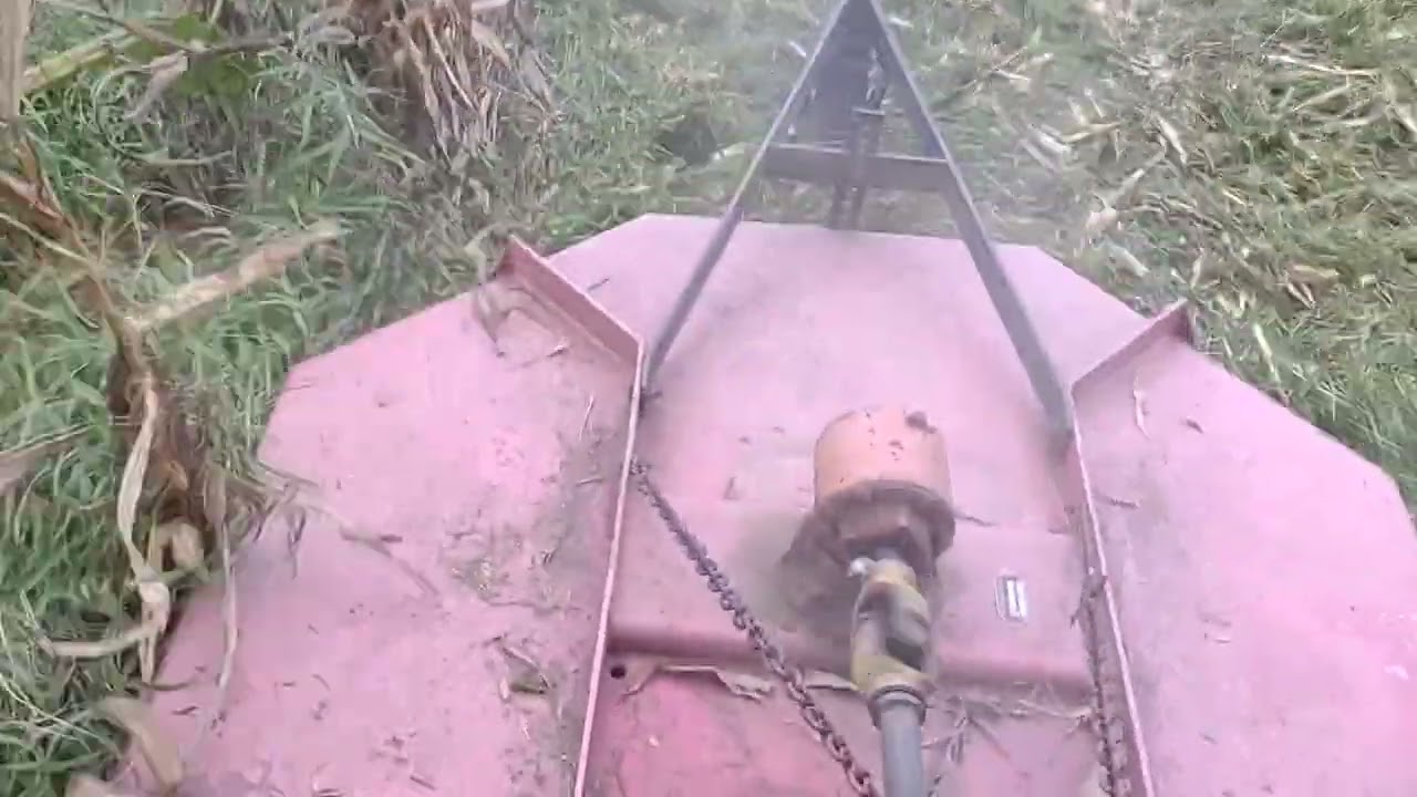 Bush Hoggin corn stalks with Yanmar YM2000