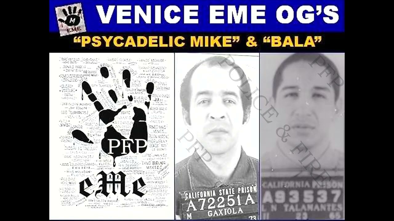 Банды Венеции и Ла-Раны — связи с мексиканской мафией.