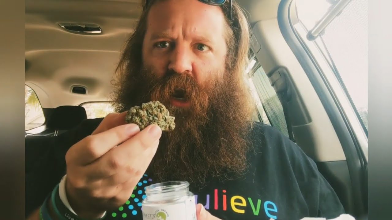 Bitter Sweetz 🍋🍊 from Grow Healthy ✌️ Master Growers Series 🕶️ by FL Medical Marijuana Reviews