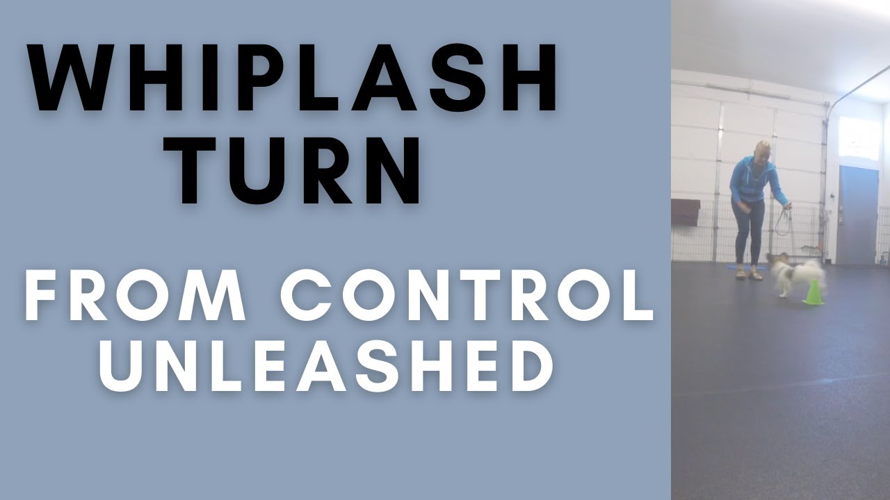 Teaching a Whiplash Turn (from Control Unleashed)