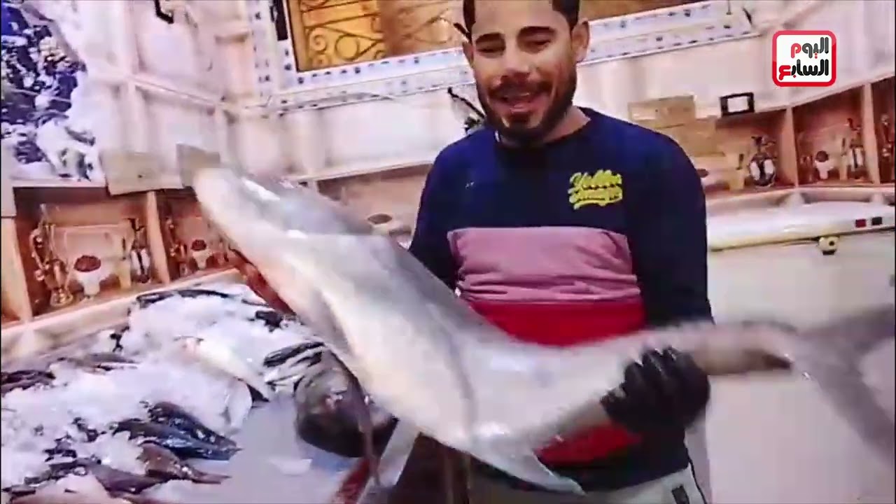 توافد المواطنين على سوق الأسماك بجنوب سيناء.. فيديو