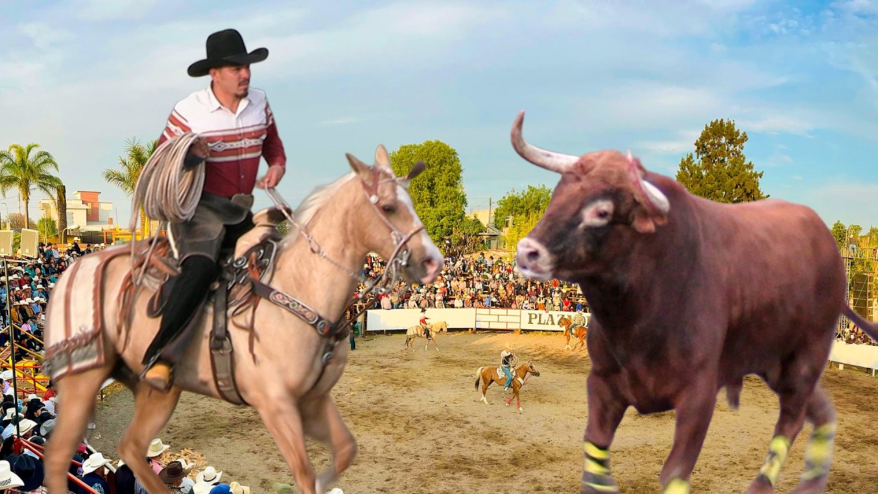 !! TOROS BRAVOS BUSCA CABALLOS ¡ EN LAS TROJAS MICHOACAN 11 DE ENERO DEL 2026