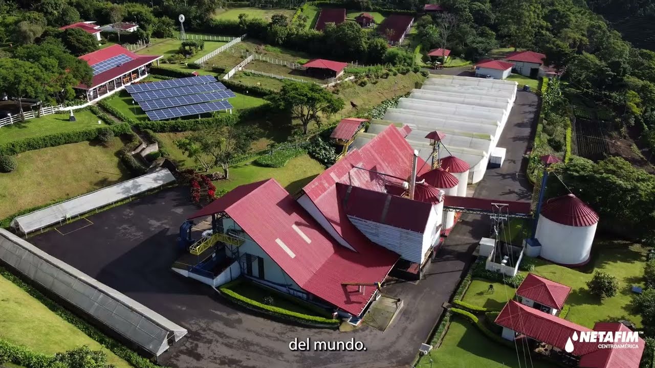 CASO DE ÉXITO DE NETAFIM: Finca Santa Anita en Costa Rica