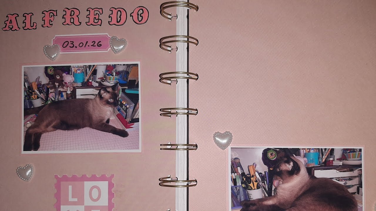 Uma Página, Uma História | Alfredo | Scrap Minuto | Scrapinho #scrapbooking 