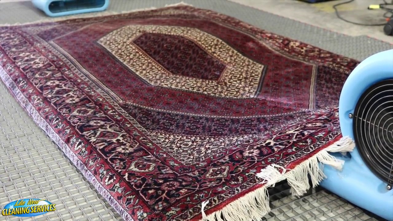 Rug Cleaning in Orlando