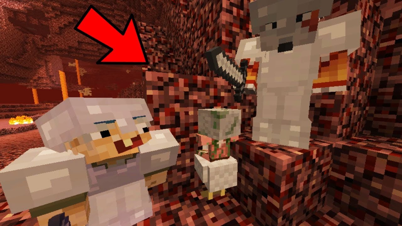 SALBATICII AU PRINS MICUL ZOMBIE PORC CALARE PE GAINA!