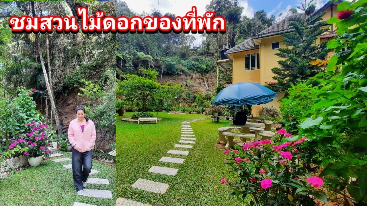 ชมดอกไม้ในสวน และคุยเรื่องการเดินทาง #ชีวิตเมียฝรั่ง #เมียฝรั่ง