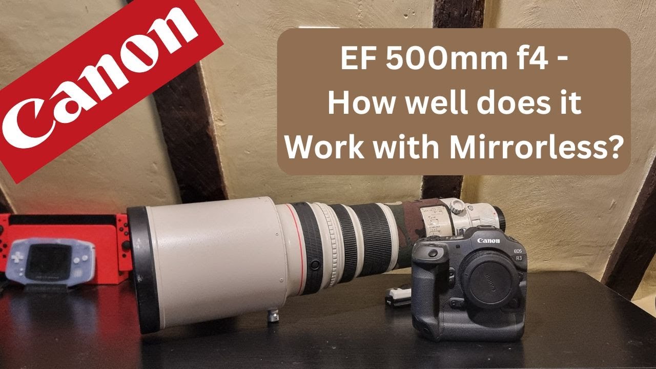 Canon ef 500mm f4 IS mki — насколько хорошо он будет работать с беззеркальными камерами в 2024 году?