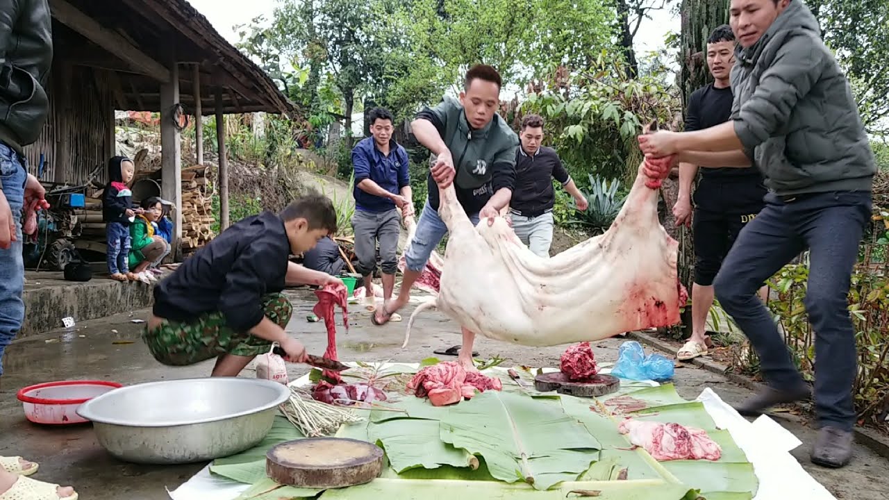 【TBCT】 Mổ lợn tết - Tết của người vùng cao tết nguyên đán 2021