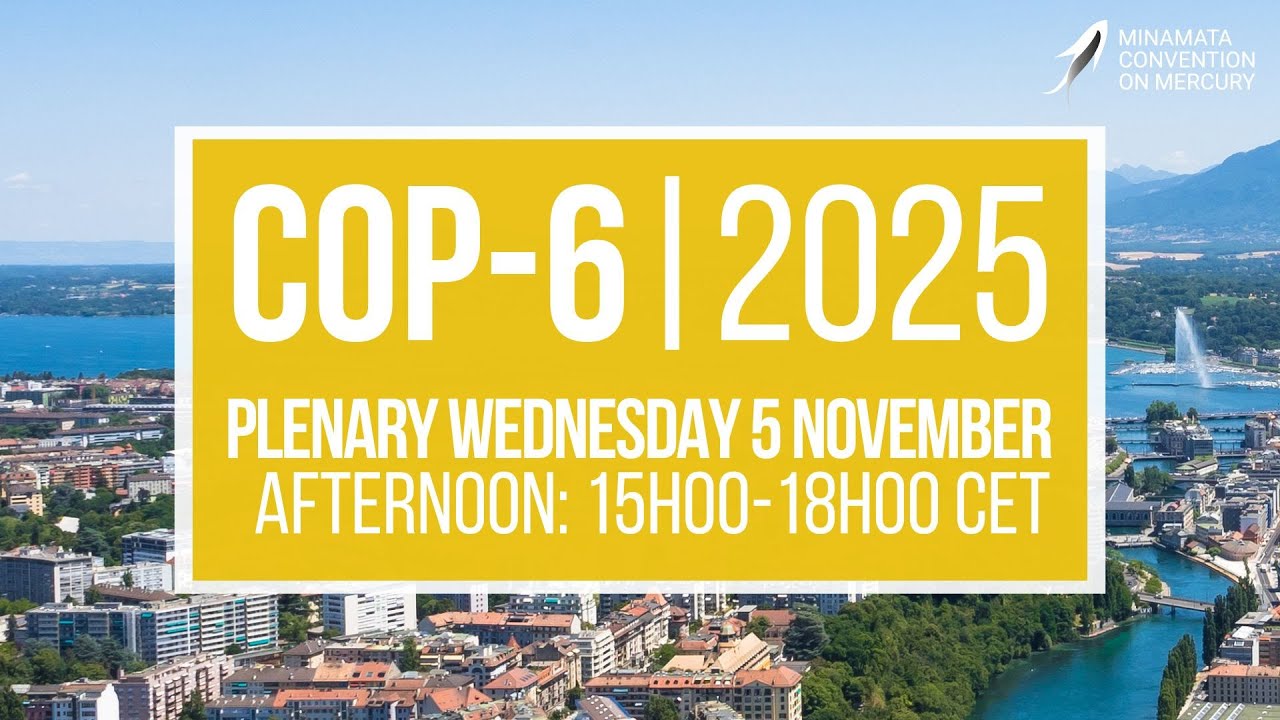 #MinamataCOP6: Afternoon Plenary (5 November 2025)