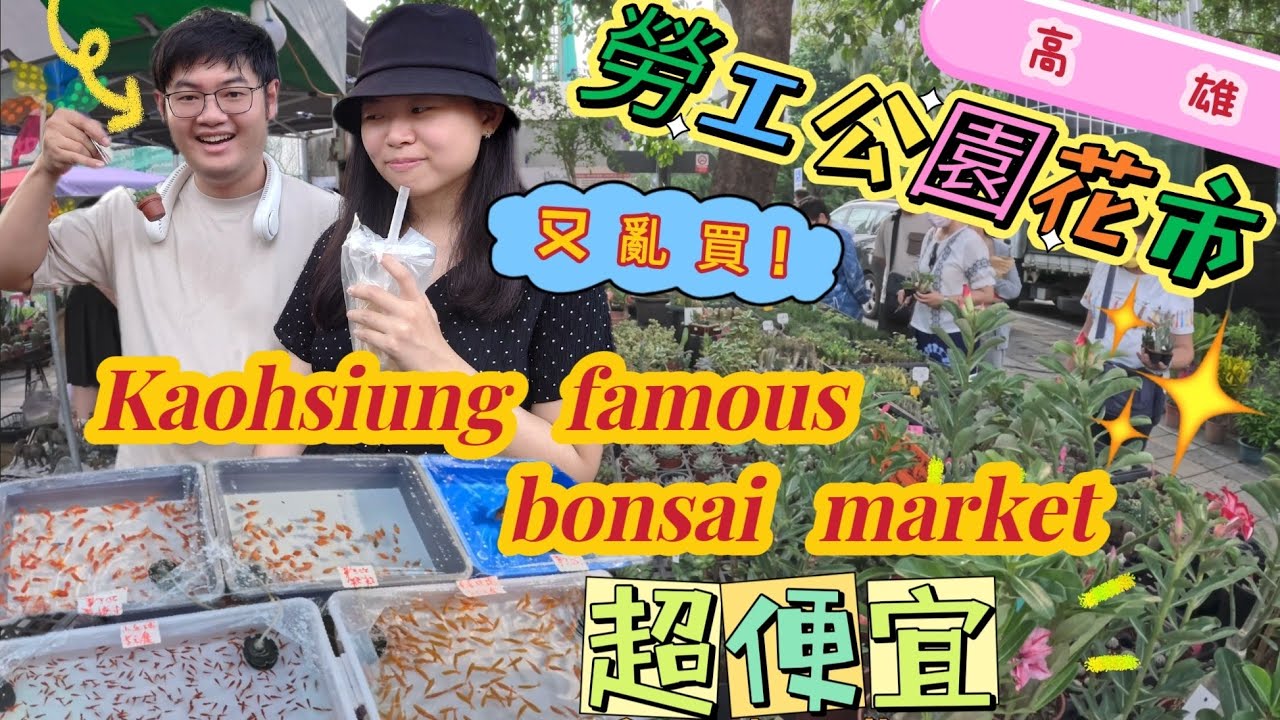 (臺北人覺得好便宜)高雄勞工公園花市Kaohsiung famous bonsai market沙漠玫瑰/多肉植物/盆栽/仙人掌#taiwan #flowers #沙漠玫瑰#一日遊 #travel