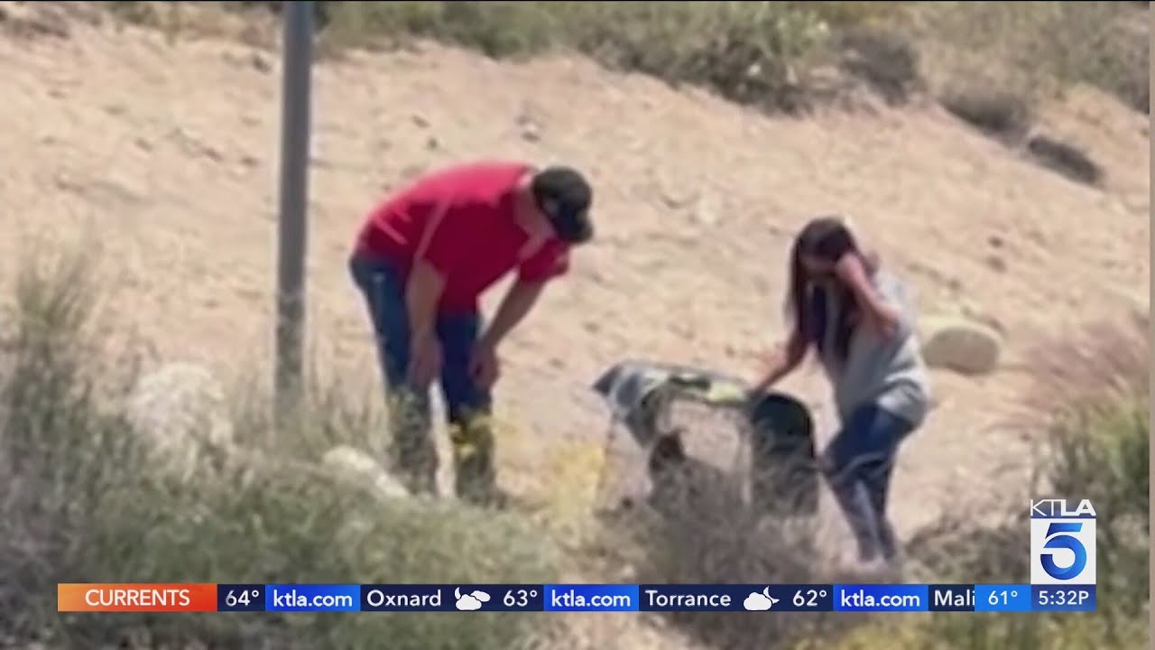 Couple abandons kittens in San Bernardino dirt lot