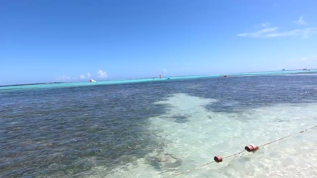South Carribbean Cruise, Carnival Conquest -Bonaire Jan 2025