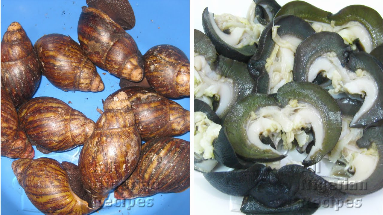 How to Clean Snail (Remove Snail Slime) | All Nigerian Recipes | Flo Chinyere